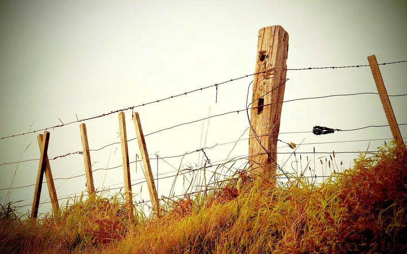 Palletizer Program Editing and Storage